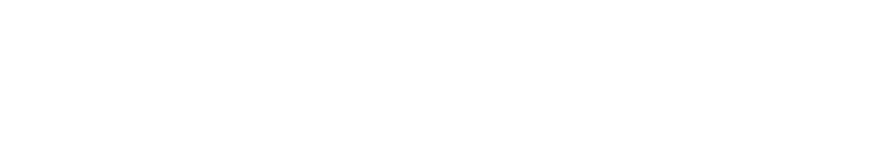 Logo Lever PR